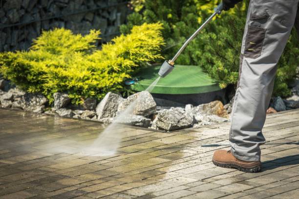 Best Boat and Dock Cleaning  in St Leo, FL
