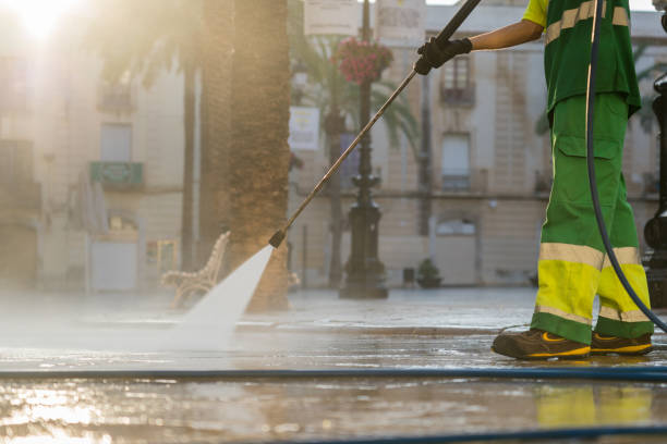 Best Building Exterior Washing  in St Leo, FL